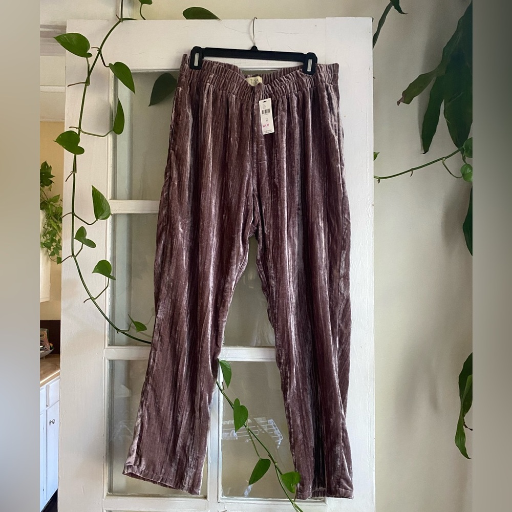 Anthropologie Tina Jo Velvet Pants